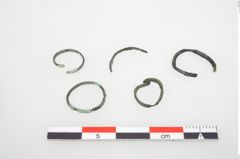 Foto von Bronzering (NHMW-PRAE-026654)